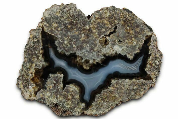 Colorful Polished Thunderegg Half - Oregon #328233